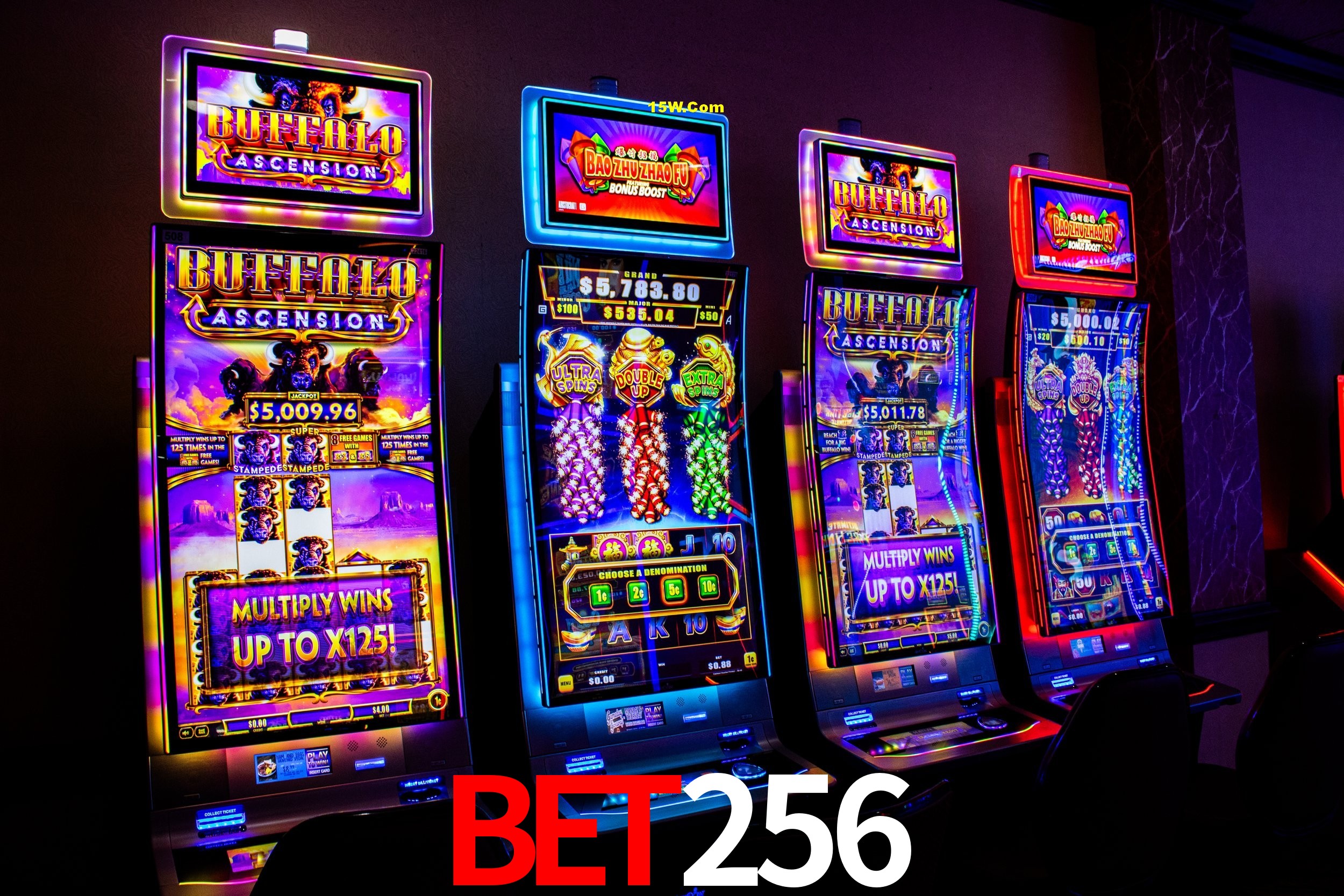 Platform Technology Bet256