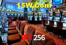 Bonus Features Bet256